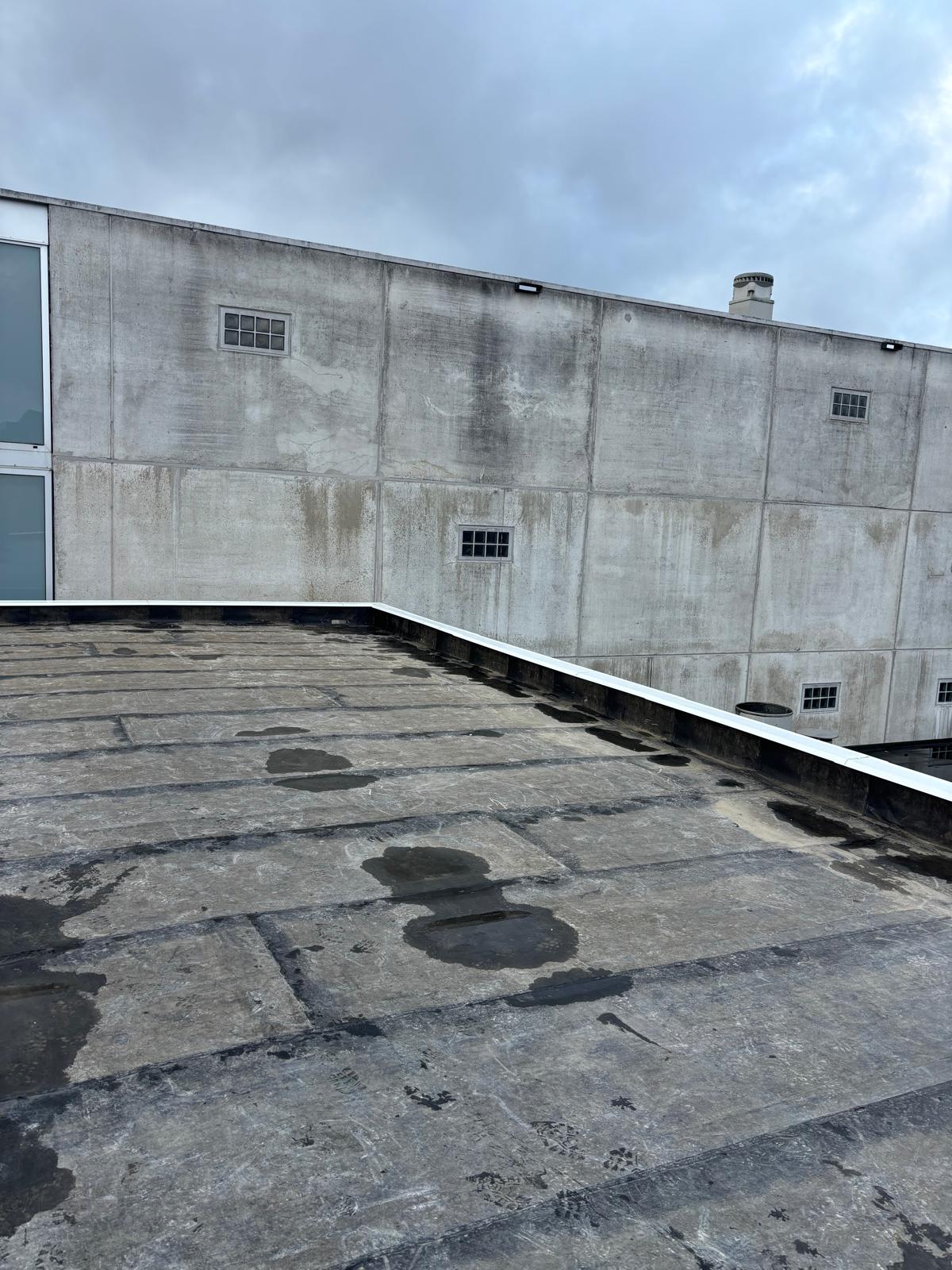 Broing - Project Hoogeveen - Bakken met Plaizier IMG-20241102-WA0076