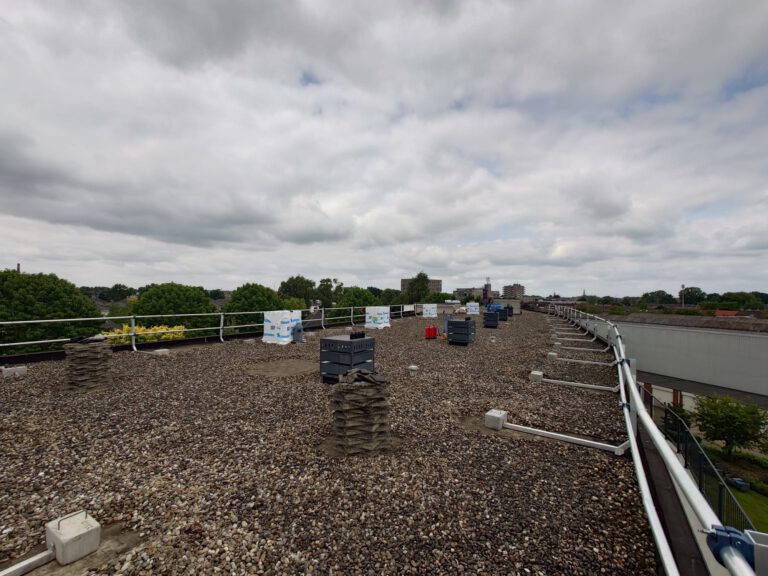 WhatsApp Image 2025-09-16 at 07.25.09