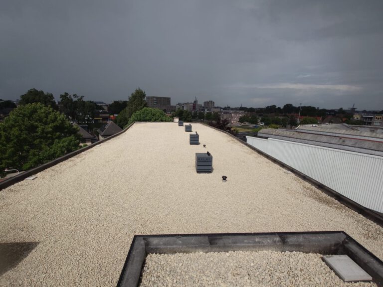 WhatsApp Image 2025-09-16 at 07.27.27