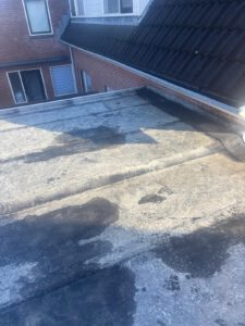 WhatsApp Image 2025-11-20 at 06.16.56 (2)