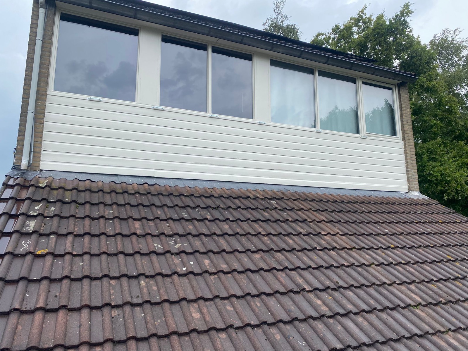 WhatsApp Image 2026-01-22 at 06.37.12